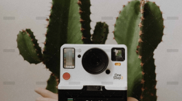 demo-attachment-856-portfolio-8-img